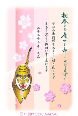 虎とパステルの桜の和風デザイン｜寅年の年賀状