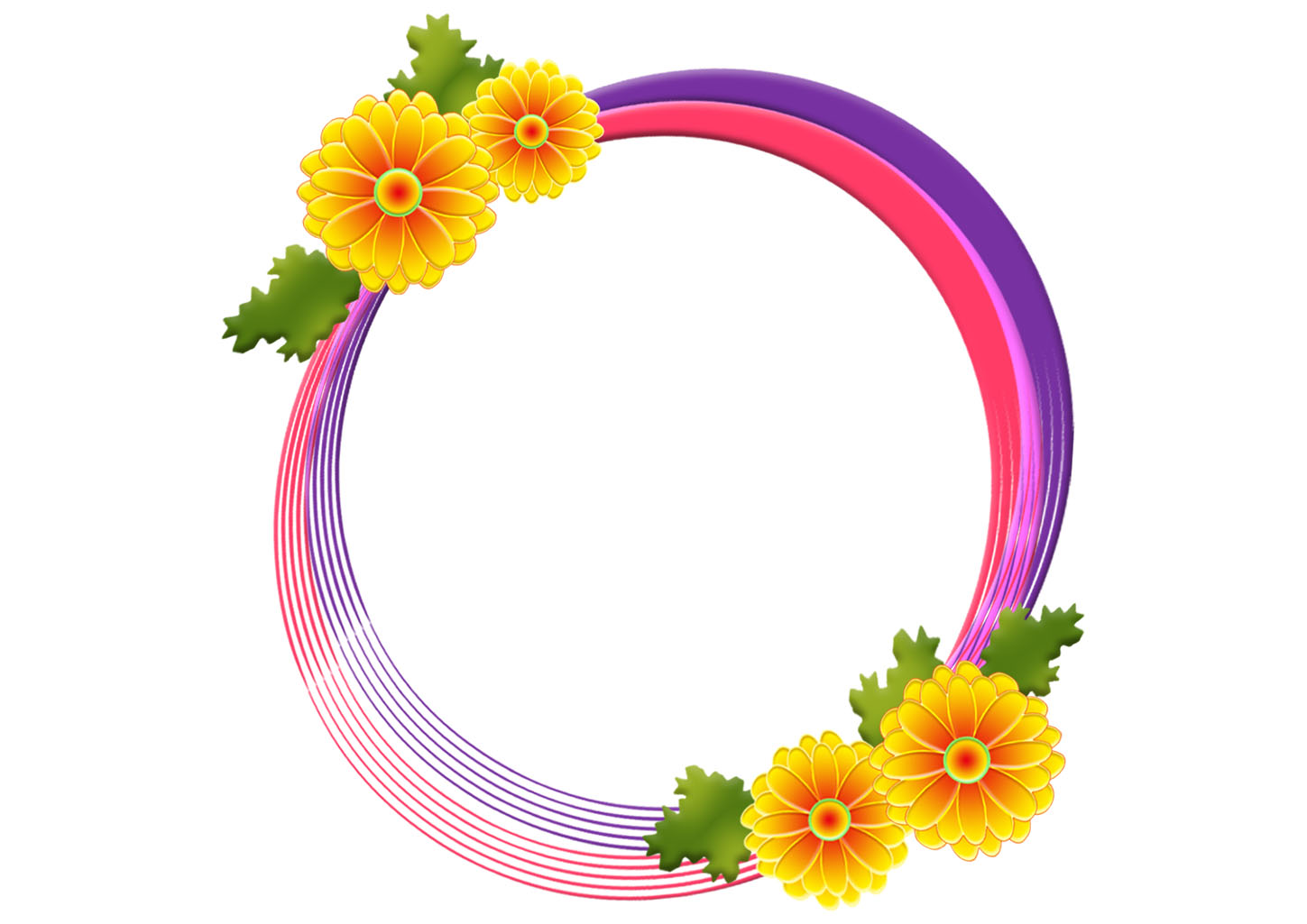 菊の花の楕円フレーム｜枠イラスト