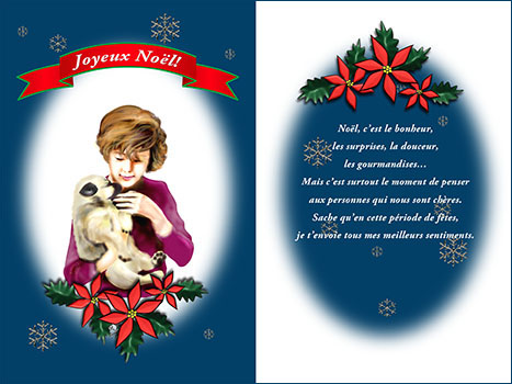 フランス語のMerry Christmas!「Joyeux Noël!」のクリスマスカード
